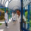 Ricerca, fra Dna e Big data a Milano la ‘Bollywood’ dell’Ifom si prepara per il Diwali