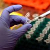 Morbillo, Pennsylvania segnala sesto morto: 39enne con patologie e già infettata di recente
