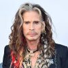 Steven Tyler diffida il borgo calabrese dei nonni: “Per il museo del rock non usino il mio nome”