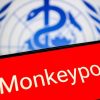 Vaiolo delle scimmie, Oms: “Mpox continua a circolare, a novembre 2.150 casi e 5 morti”