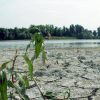 Agosto mese più caldo mai registrato, estate più rovente di sempre per l’Europa occidentale