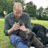 William e Kate condividono l’amore di Elisabetta II per i cani, James Middleton spiega perché