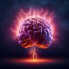 Rischio demenza, protezione del cervello potrebbe iniziare a tavola: lo studio