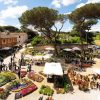 Roma: al via Floracult, mostra mercato di fiori tra natura e cultura del verde