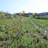 3Bee e l’Oasi della Biodiversità di Pavia