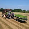E. Romagna, allarme filiera italiana per accelerazione Commissione Ue su revisione direttiva Ue su prodotti tabacco