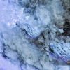 I satelliti svelano immagini straordinarie dell’eruzione che sta creando una nuova isola nel Pacifico