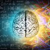 Milano, BrainSpace house per scoprire legame tra benessere di mente e cervello