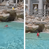 Roma, si tuffa nella fontana di Trevi e poi si vanta sui social. Multa da 450 euro per una turista