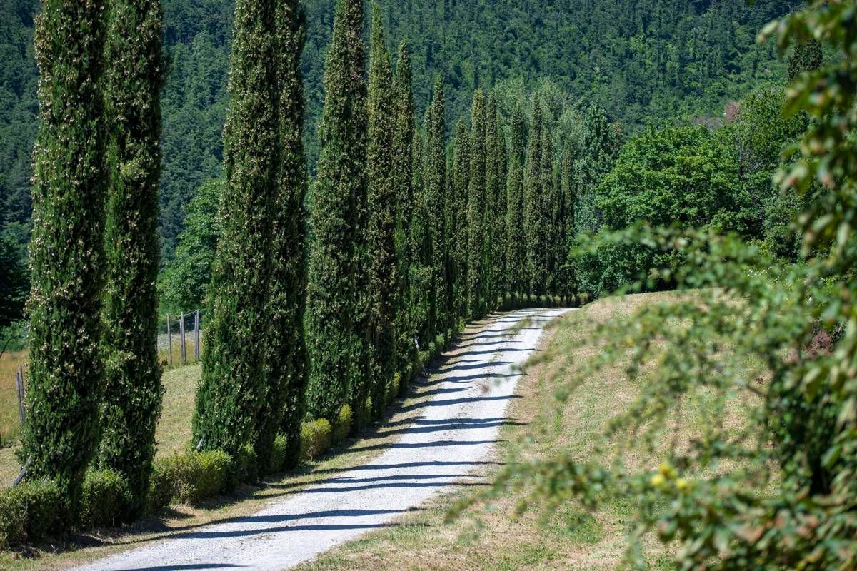 Sfondo