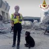 Addio al cane Allyson professionista del salvataggio