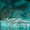 Aida trionfa in Arena, sold out e dieci minuti di ovazioni per Daniel Oren
