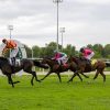 All’Ippodromo Snai San Siro un 2 Giugno di grande sport e intrattenimento