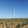 Dal vento energia e nuovi itinerari: la guida di Legambiente racconta i parchi eolici che valorizzano i territori italiani