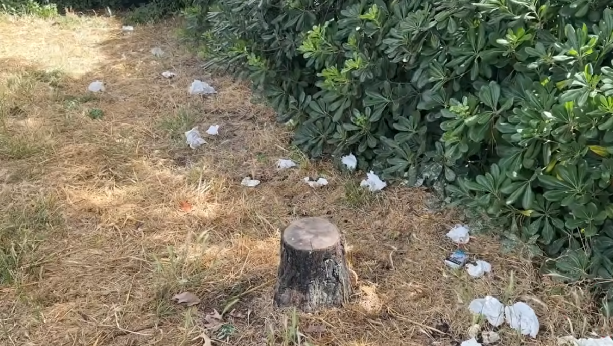Sfondo