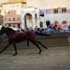 Terza prova del Palio d Siena con il fiato sospeso, il Bruco vince con il cavallo scosso