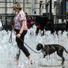 Caldo sull’Italia, venerdì giornata più rovente: “Ma c’è una data per la fine di questa nuova ondata”