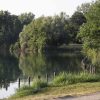 Milano, violentata mentre fa jogging al parco: si salva mordendo l’aggressore, arrestato 26enne