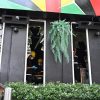 Thailandia, incendio in un bar a Bangkok: almeno 27 morti e oltre 60 feriti
