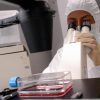 WorldPride, timori autorità sanitarie per la dermatofilosi, cos’è e come si trasmette