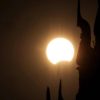 Eclissi, anche gli animali la vedranno: i consigli per non farli agitare