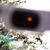 Eclissi di sole oggi 12 agosto, da Milano a Roma e Palermo: orario migliore per vederla città per città