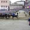 Palio di Siena, Tittia fa 13: ecco chi è il fantino che ha fatto trionfare il Nicchio
