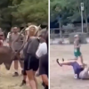 Prova a toccare un cervo e viene ‘caricato’: il video virale