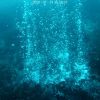 Scoperti un cratere di 100 metri e nuovi camini idrotermali a Panarea