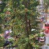 Bomba d’acqua su Roma, il maltempo colpisce la capitale dopo mesi di afa record