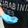 Palermo, fermento all’aeroporto: trovato piccolo serpente sul volo da Lampedusa