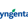 La chimica italiana ai vertici mondiali, American Chemical Society premia Camilla Corsi di Syngenta