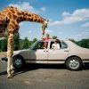 Martin Parr, l’ironia di guardare il mondo