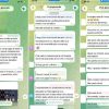 Sagia Hammoud, chi è la mediatrice e moglie di Siher: le loro parole contro lo Stato